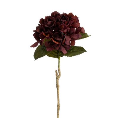 Hortensia bordeaux real touch l63cm