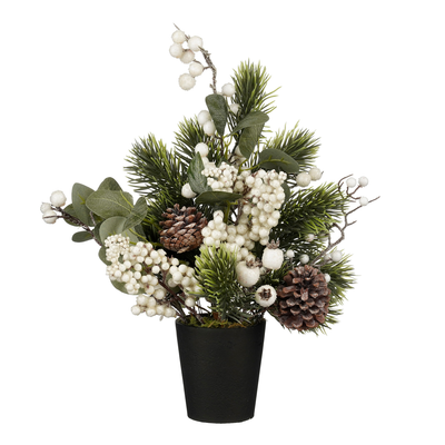 Sapin de noël en pot