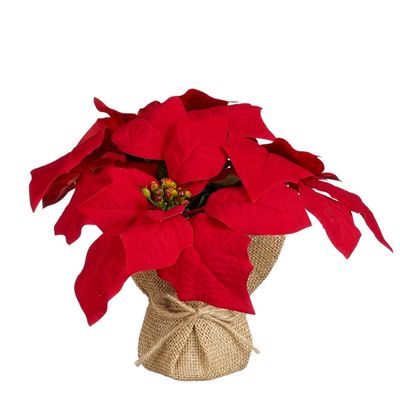 Poinsettia pot toile de jute rouge h20xd22