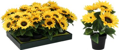 Fleur de tournesol en pot 28cm 