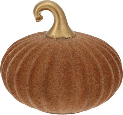 Pompoen in glas roest 10cm