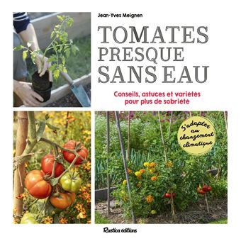 Tomates presque sans eau