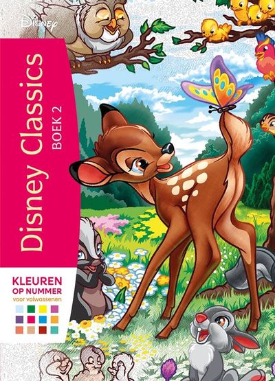 Disney classics boek 2 kleuren op nummer voor volwassenen