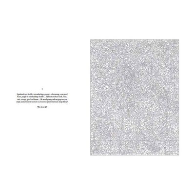 Kleurgeheimen bloemen